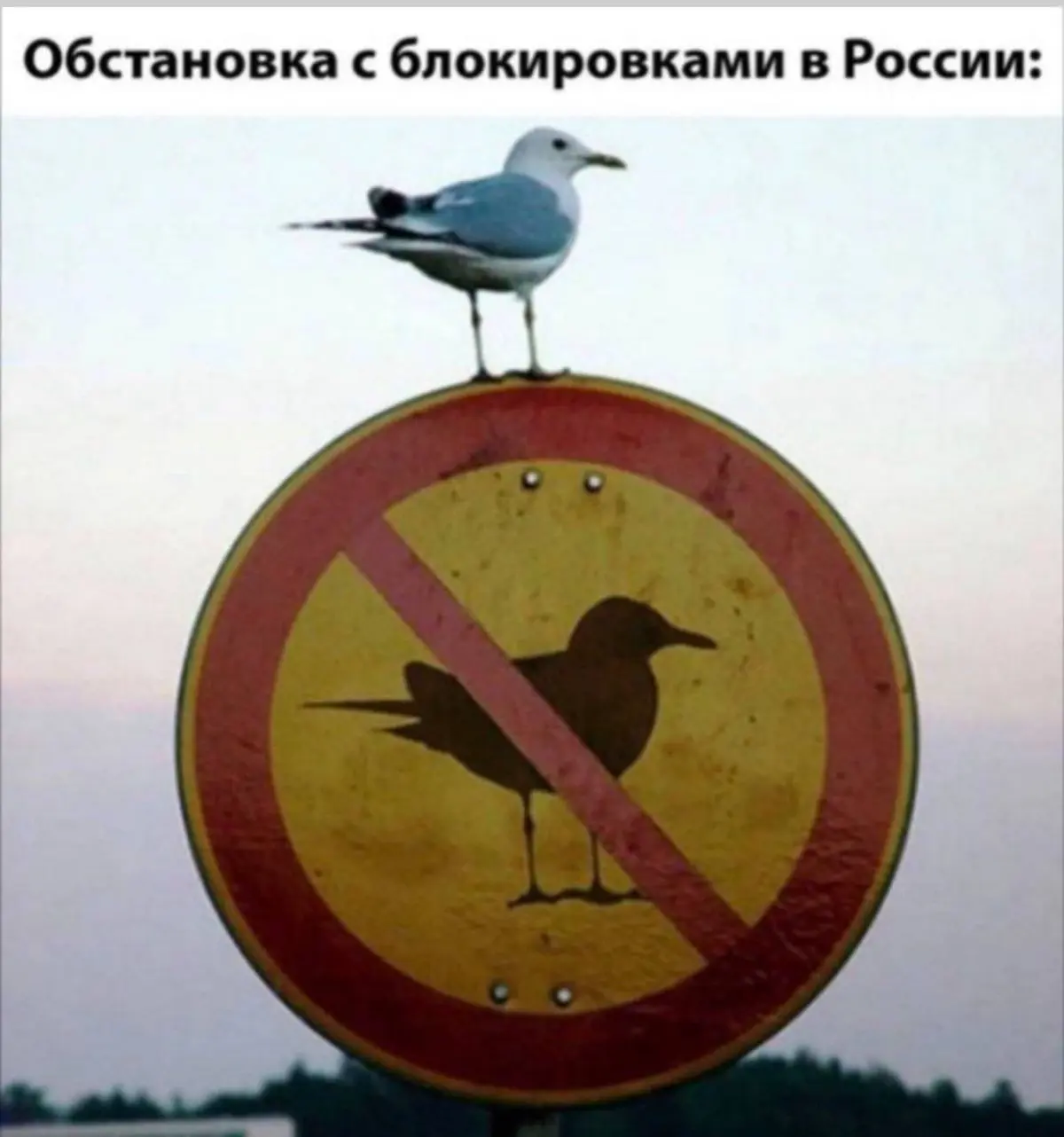 Законна ли эта ситуация? | Сетка — социальная сеть от hh.ru