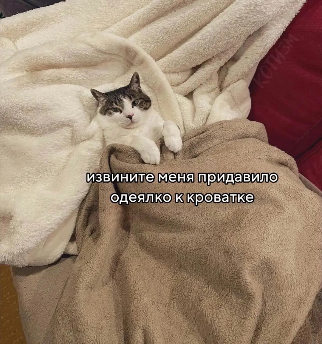 И так каждый понедельник | Сетка — социальная сеть от hh.ru