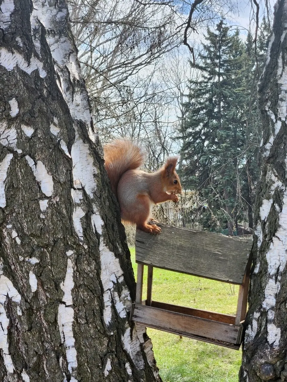 Ботанический сад сегодня | Сетка — социальная сеть от hh.ru