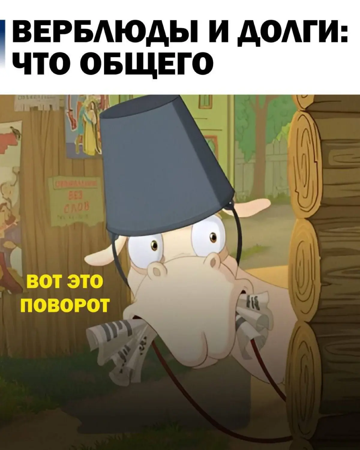 Верблюды и долги: что общего🐪💸 | Сетка — социальная сеть от hh.ru