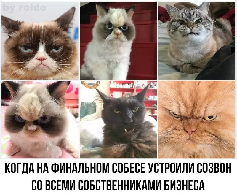 В 2021 году, когда был рынок работодателя, у меня был выбор | Сетка — социальная сеть от hh.ru
