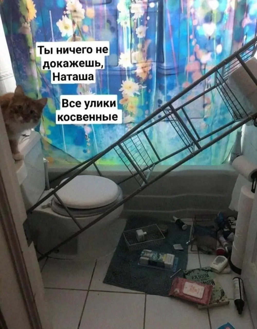 О никаких причинно-следственных связях и речи идти не может 😂
#Юмор@poldner #Коты@poldner | Сетка — социальная сеть от hh.ru