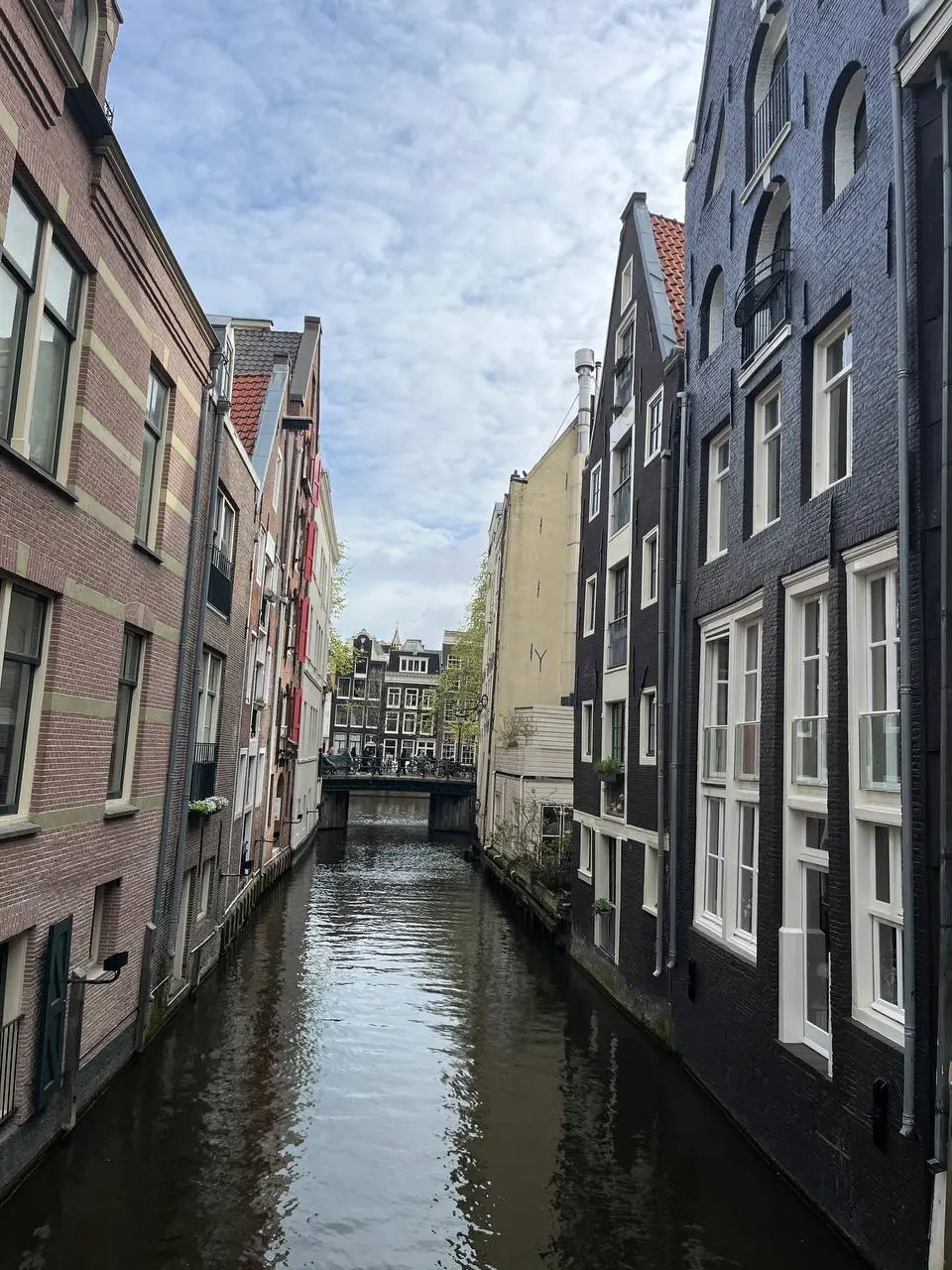 Отчет: 2 месяца без найма
2 месяца выпали на наш автомобильный евротрип, и я начала завидовать людям в найме, потому что им не о чем париться в отпуске | Сетка — социальная сеть от hh.ru