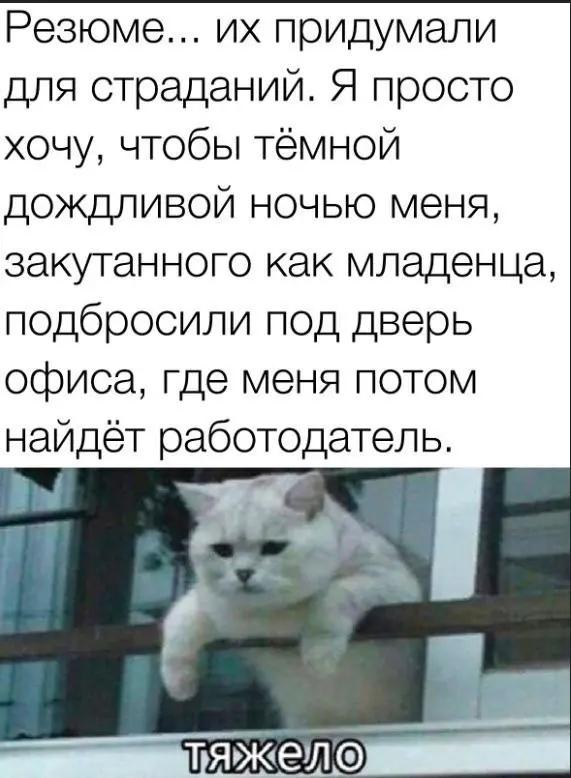Согласны? | Сетка — социальная сеть от hh.ru