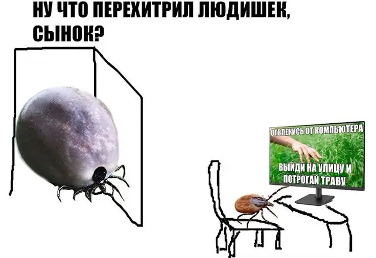 🕷 90 ставропольцев покусали клещи за прошлую неделю
С начала года таких случаев уже 163, рассказали в Роспотребнадзоре | Сетка — социальная сеть от hh.ru