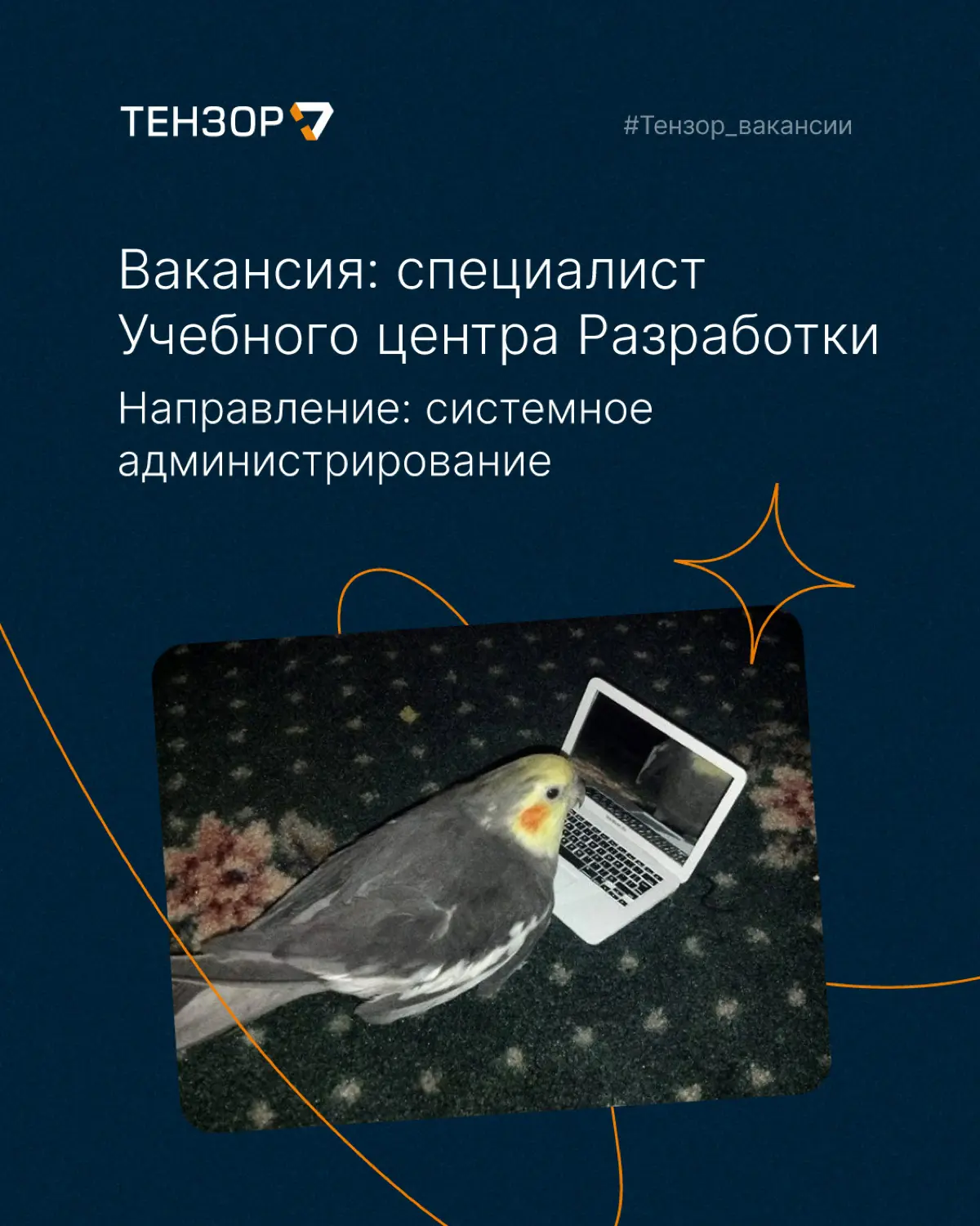 Перспективная вакансия в Учебный центр Разработки | Сетка — социальная сеть от hh.ru