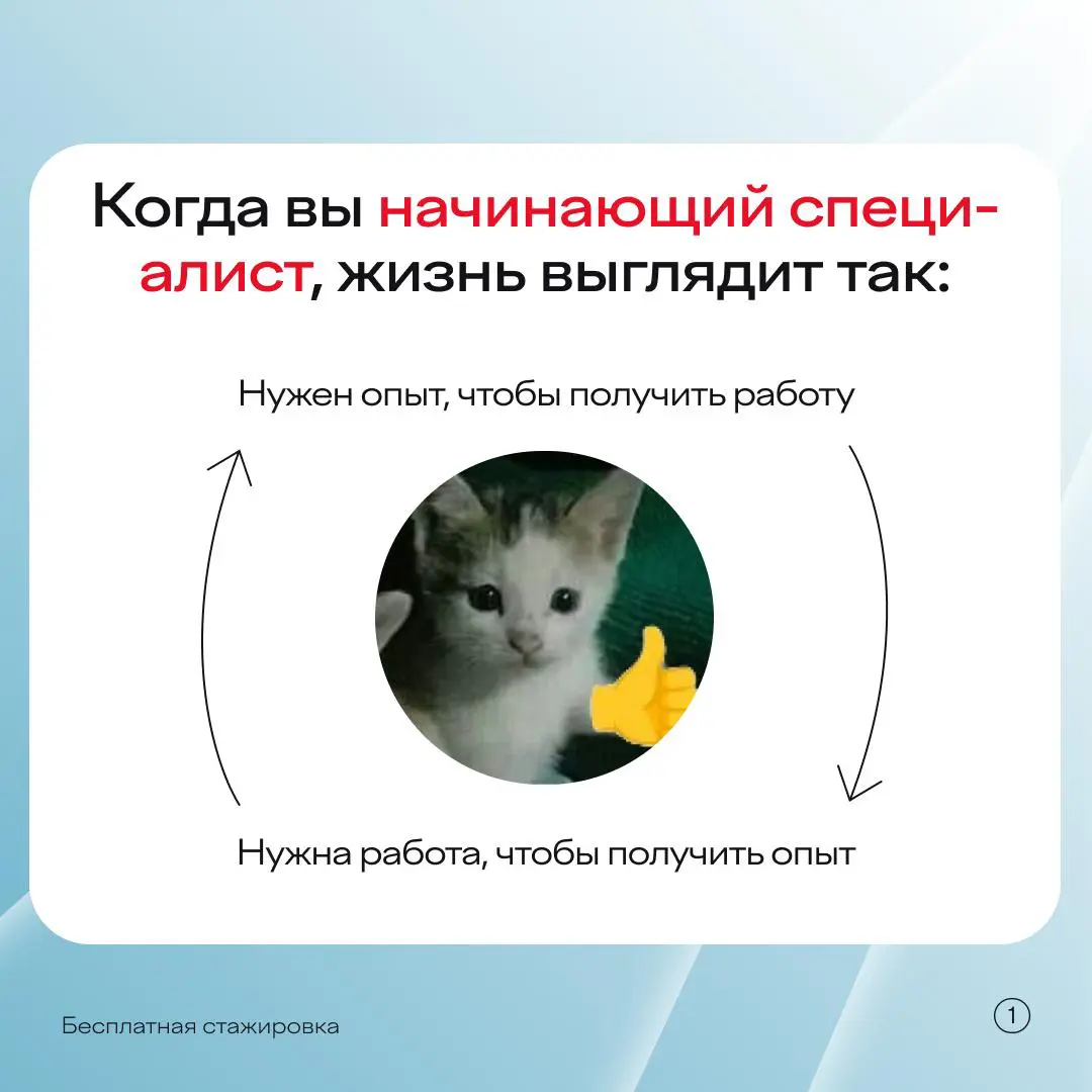 Бесплатные стажировки — норм или стрем? | Сетка — социальная сеть от hh.ru