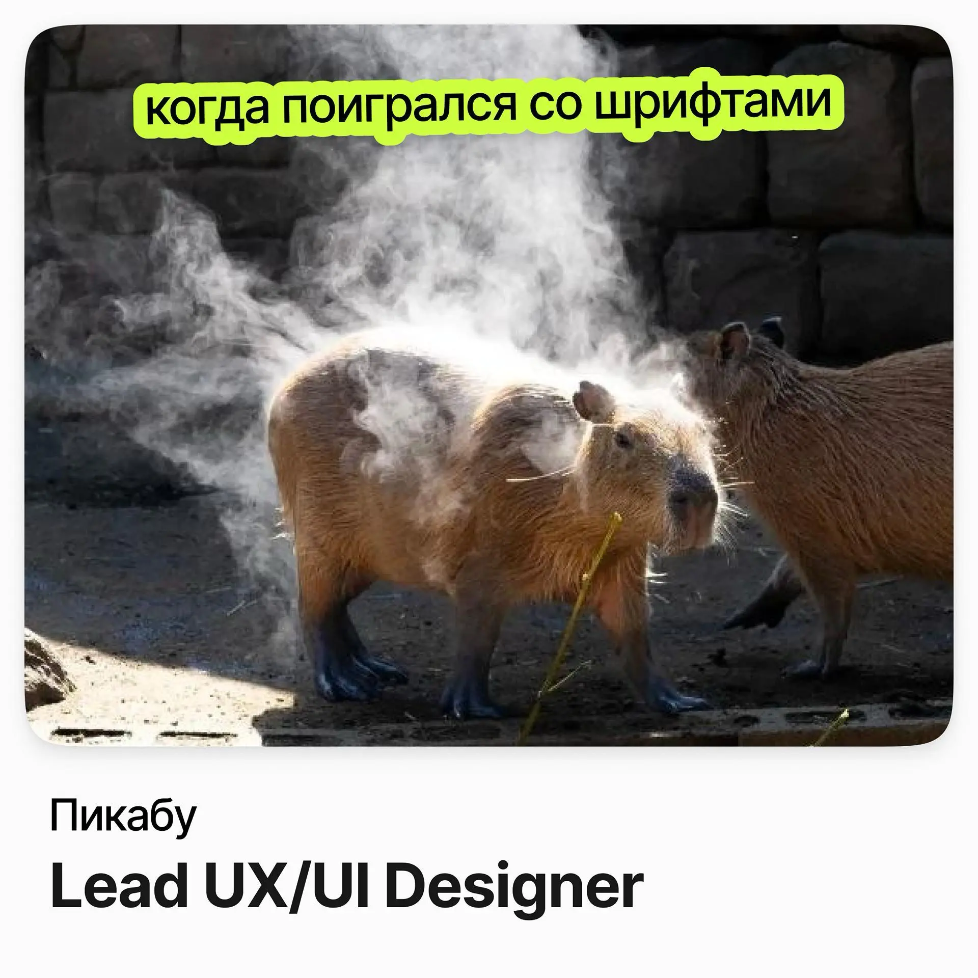 Lead UX/UI Designer (Product team, mobile) / Пикабу | Сетка — социальная сеть от hh.ru