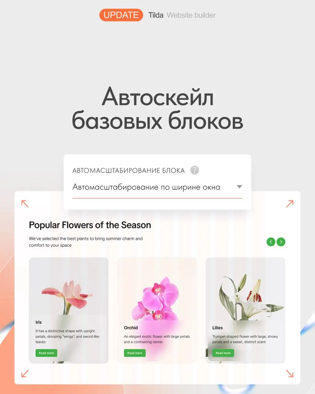 🆕 Автоскейл базовых блоков
Новая настройка позволяет растягивать базовые блоки с 12-колоночной сеткой на всю ширину экрана | Сетка — социальная сеть от hh.ru