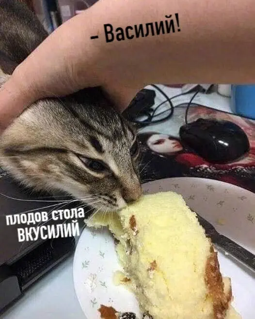 Владислав Алексеев