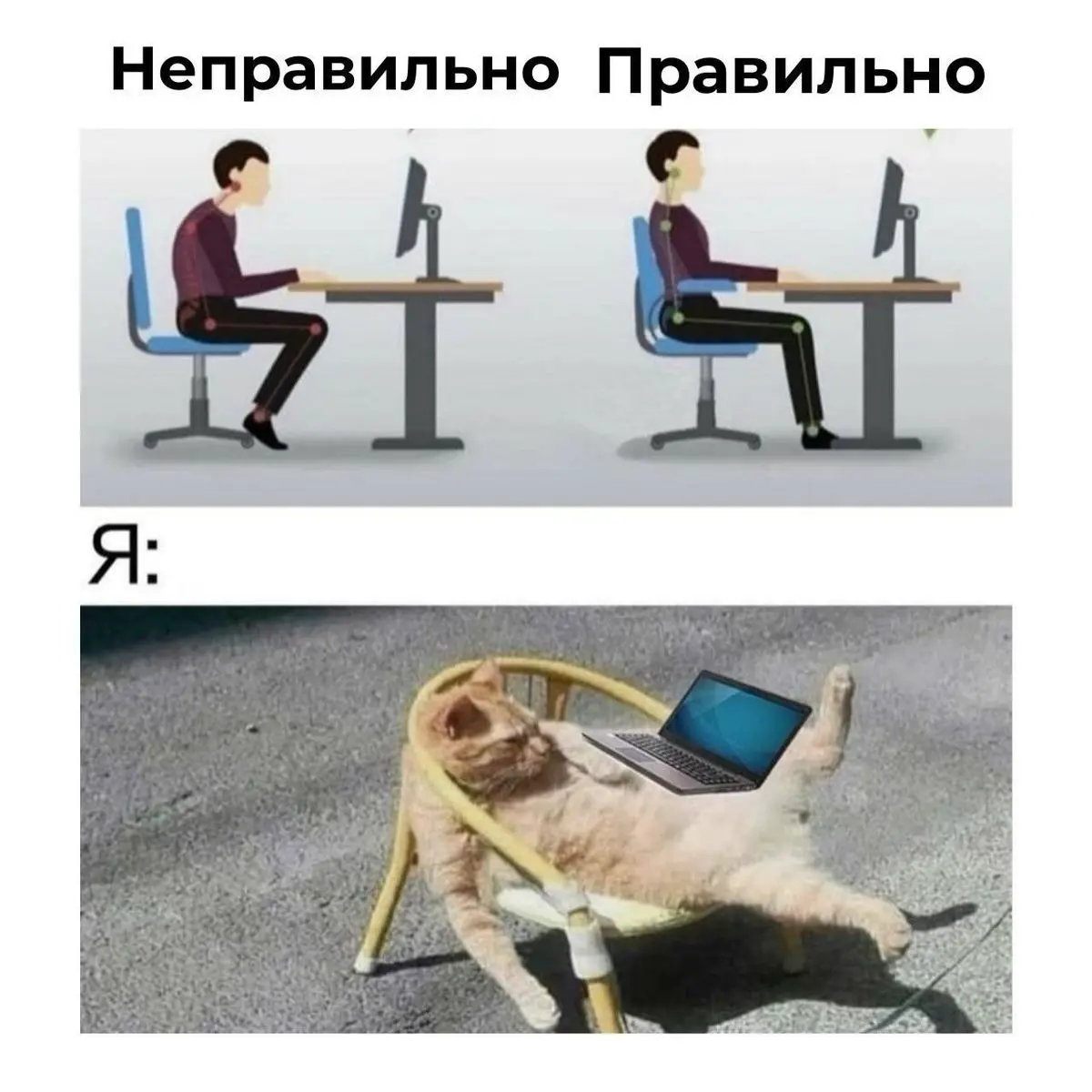 Ну, мы? | Сетка — социальная сеть от hh.ru