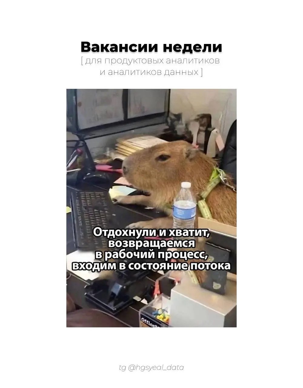 Подборка свежих вакансий для аналитиков данных и продуктовых аналитиков 🔗
😮‍💨 Старт карьеры / Junior
Data Engineer, BetBoom
🫵 Уверенный Middle
Продуктовый аналитик (отели), OneTwoTrip
Аналитик данных/... | Сетка — социальная сеть от hh.ru