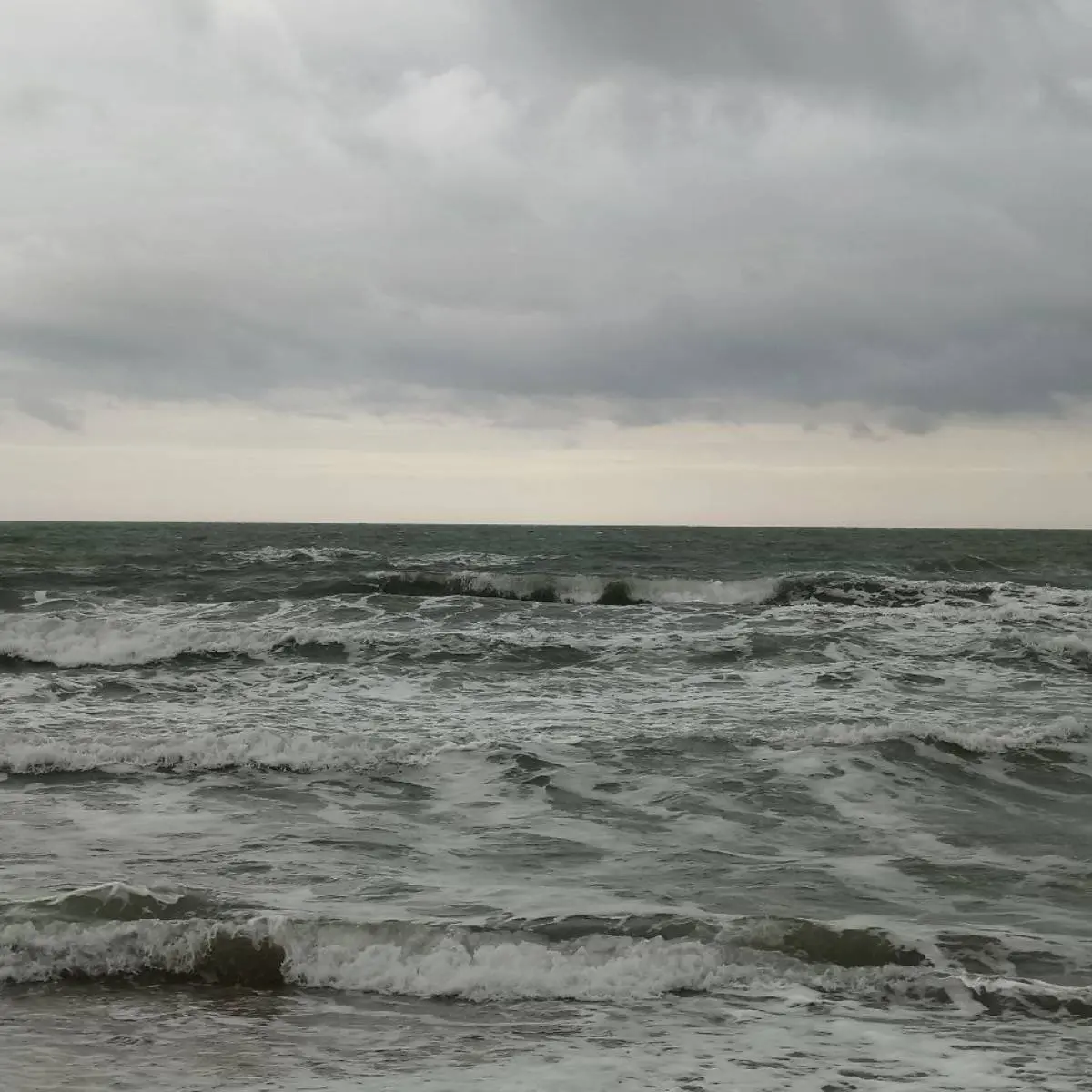 Ваграм Катранян | Сетка — социальная сеть от hh.ru