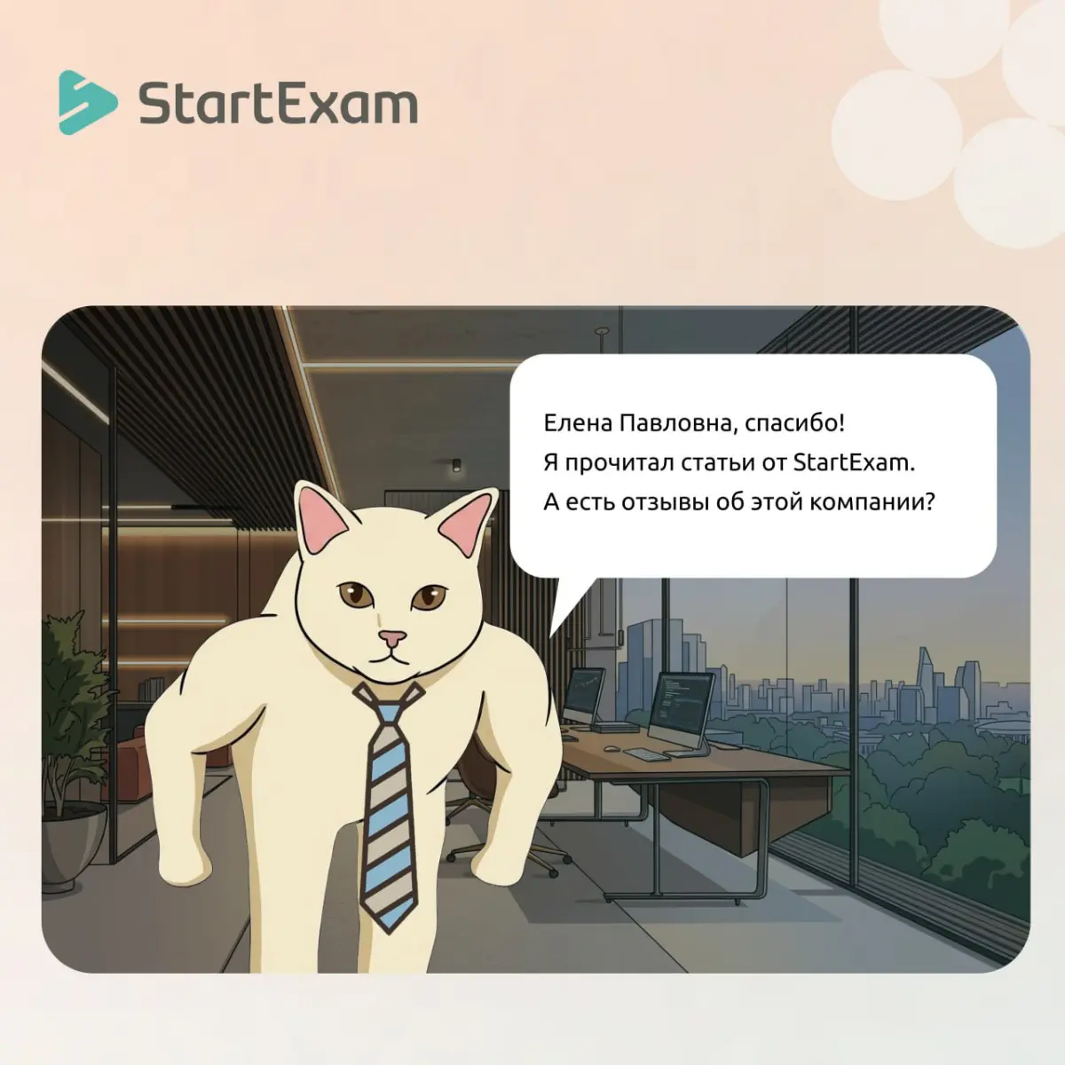 Почему клиенты так довольны StartExam? | Сетка — социальная сеть от hh.ru