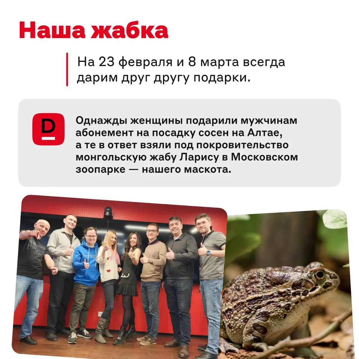 Жабка, путешествия и короткометражки 🐸 | Сетка — социальная сеть от hh.ru