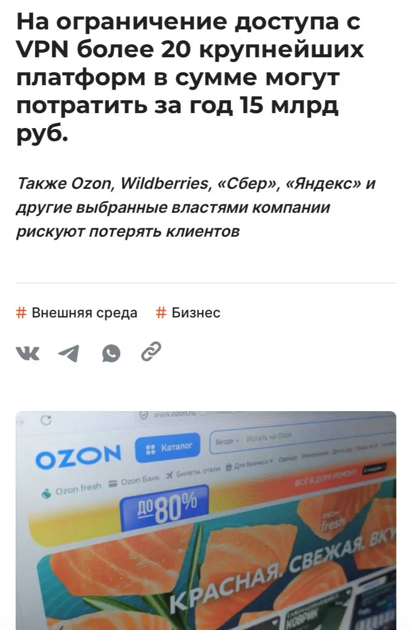 Более 20 крупнейших российских онлайн-платформ (Ozon, Wildberries, Сбер, Яндекс, VK, Авито) могут ежегодно тратить до 15 млрд рублей на ограничение доступа через VPN по требованию Минцифры | Сетка — социальная сеть от hh.ru