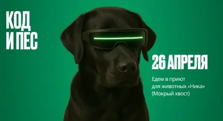 Помогаем животным и заряжаемся добром вместе с «Код и пес»: https://clck | Сетка — социальная сеть от hh.ru