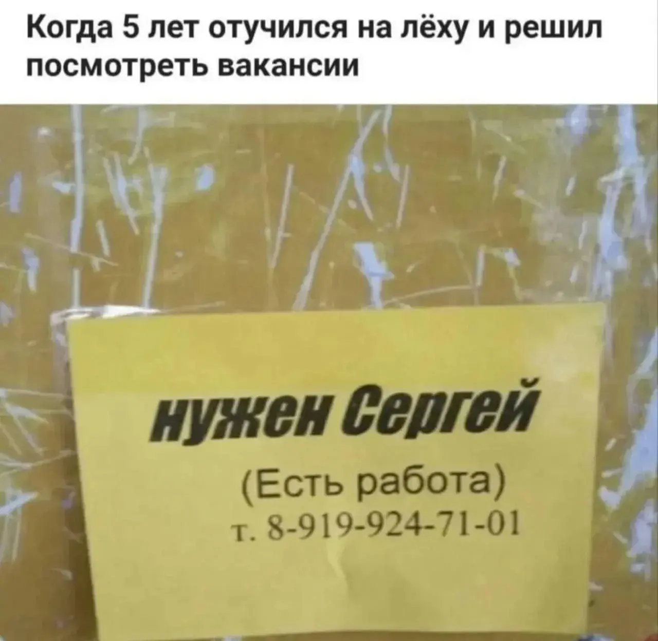 Правда жизни. | Сетка — социальная сеть от hh.ru