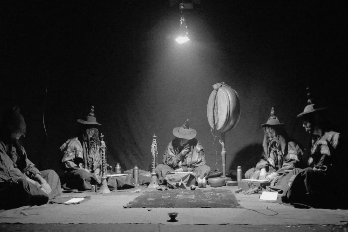 Недавно стало известно, что Россия вновь будет участвовать в одной из самых важных выставок современного искусства — ❗️61-я Венецианская биеннале❗️, которая откроется 9 мая 2026 года и будет работать ... | Сетка — социальная сеть от hh.ru