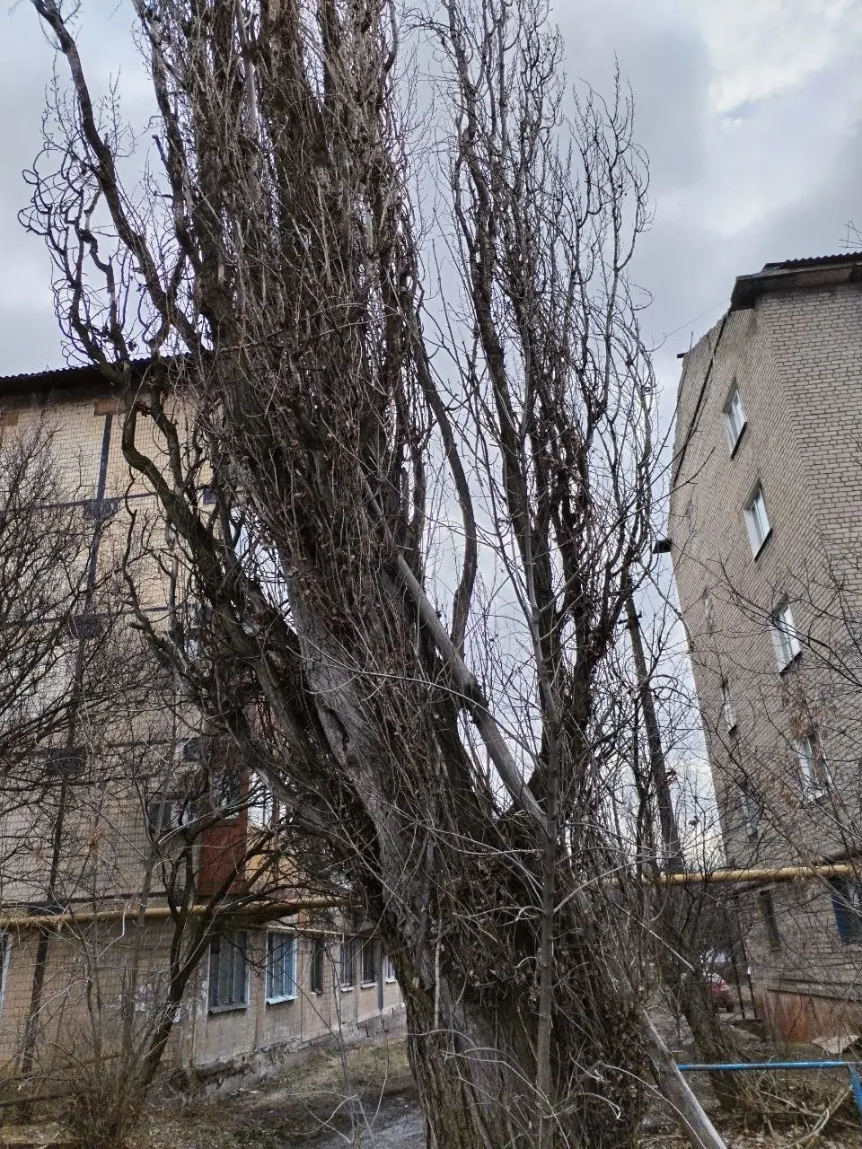 Гвардейка
п. Крупской, на обочине дороги, между домами Тухачевского 17,19. | Сетка — социальная сеть от hh.ru