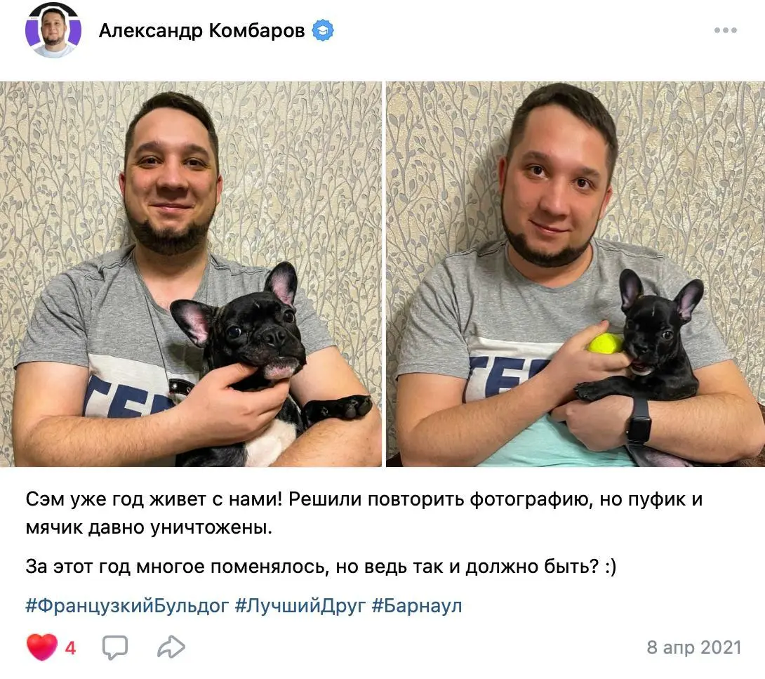 😄 6 лет назад у нас появился французский бульдог Сэм. Теперь он уже взрослый и носит гордую кличку – Семён Семёныч | Сетка — социальная сеть от hh.ru