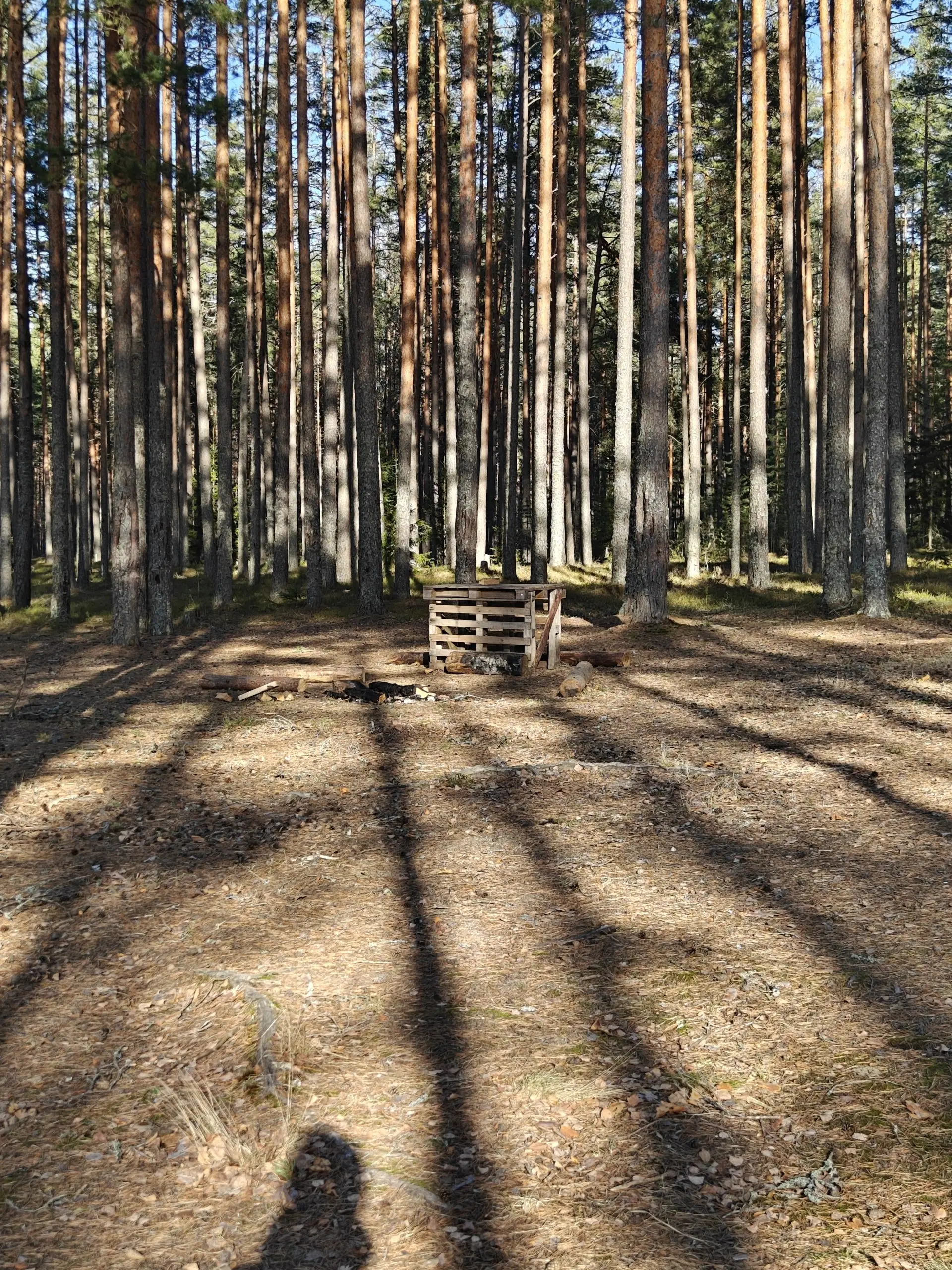 Это было сложно, очень сложно. Особенно последние 10 километров. Нельзя так без подготовки сразу-то | Сетка — социальная сеть от hh.ru