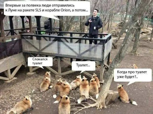 Как там у них дела с сантехникой? | Сетка — социальная сеть от hh.ru