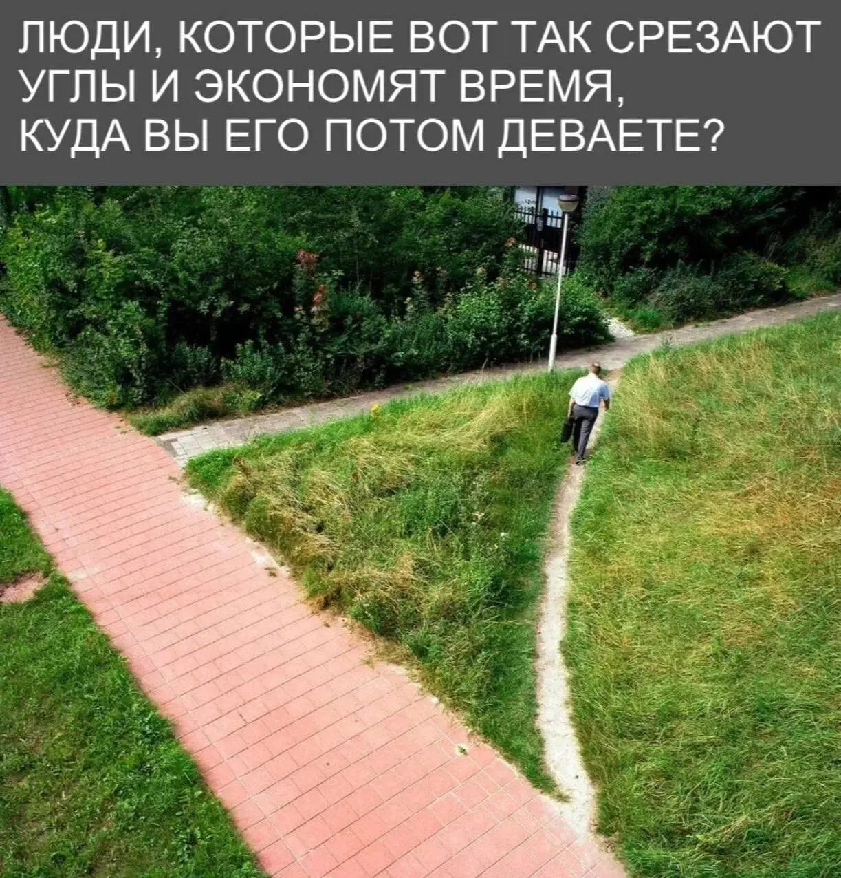 🤔 А правда, куда?
#покрытия #озеленение | Сетка — социальная сеть от hh.ru