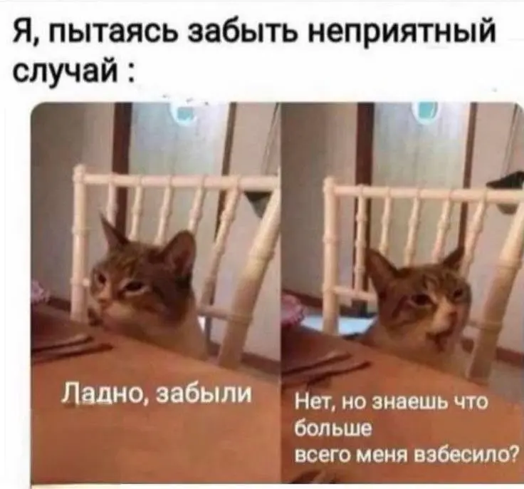 Люблю отматывать назад и перемывать, а вы?😄 | Сетка — социальная сеть от hh.ru