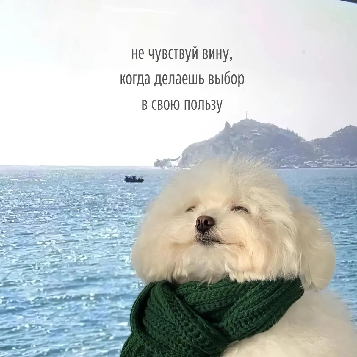 Кристина Соколовская