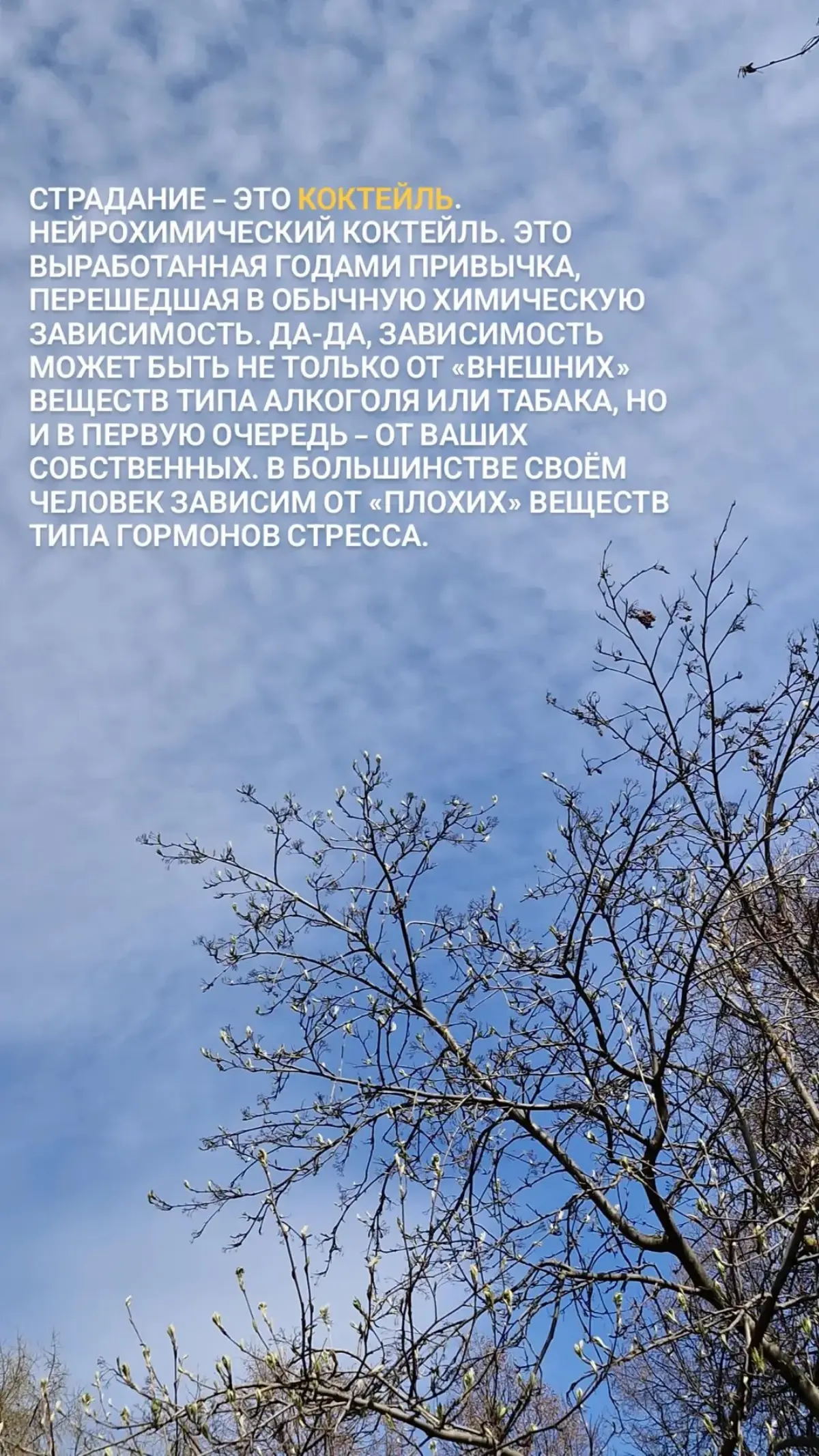 Для тех, кто готов и хочет🩷
#психология #работанадсобой | Сетка — социальная сеть от hh.ru