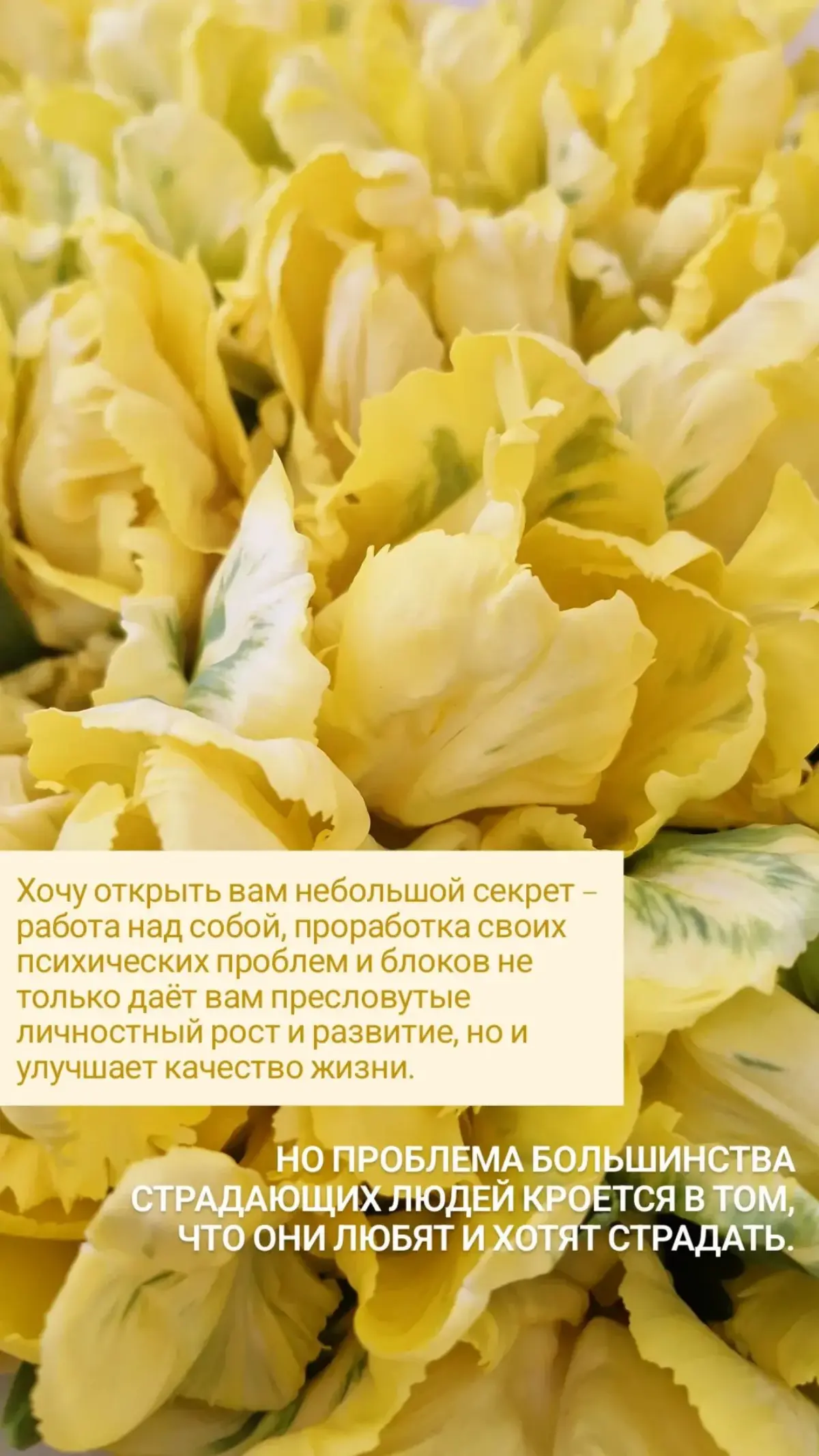 Для тех, кто готов и хочет🩷
#психология #работанадсобой | Сетка — социальная сеть от hh.ru