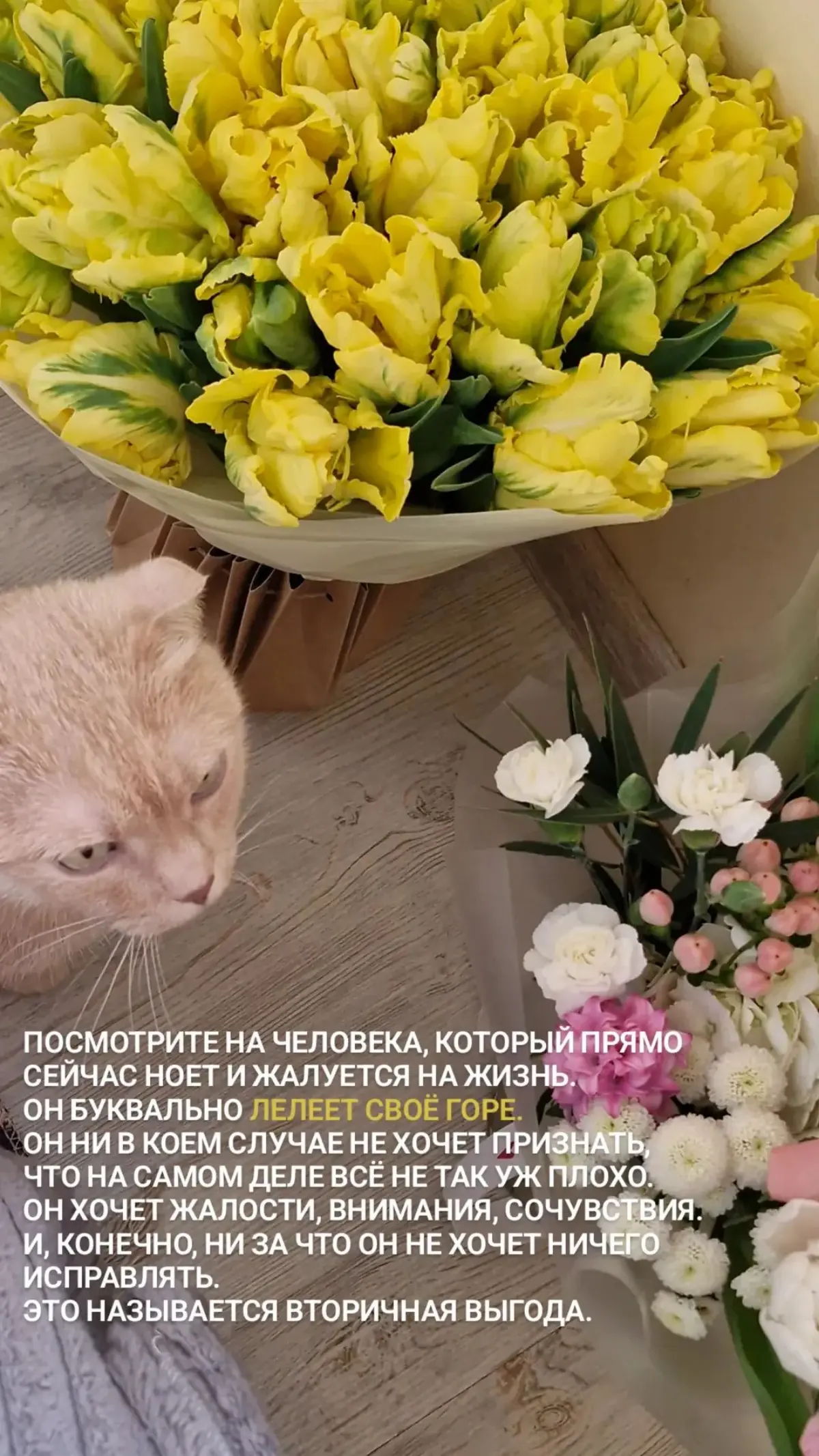 Для тех, кто готов и хочет🩷
#психология #работанадсобой | Сетка — социальная сеть от hh.ru