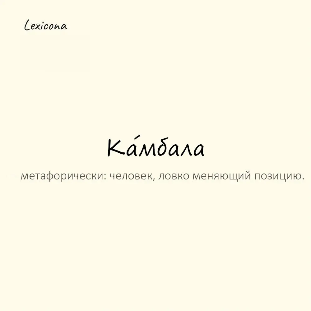 Ка́мбала — метафорически: человек, ловко меняющий позицию.
Пример употребления:
Он камбала — всегда выкрутится. | Сетка — социальная сеть от hh.ru