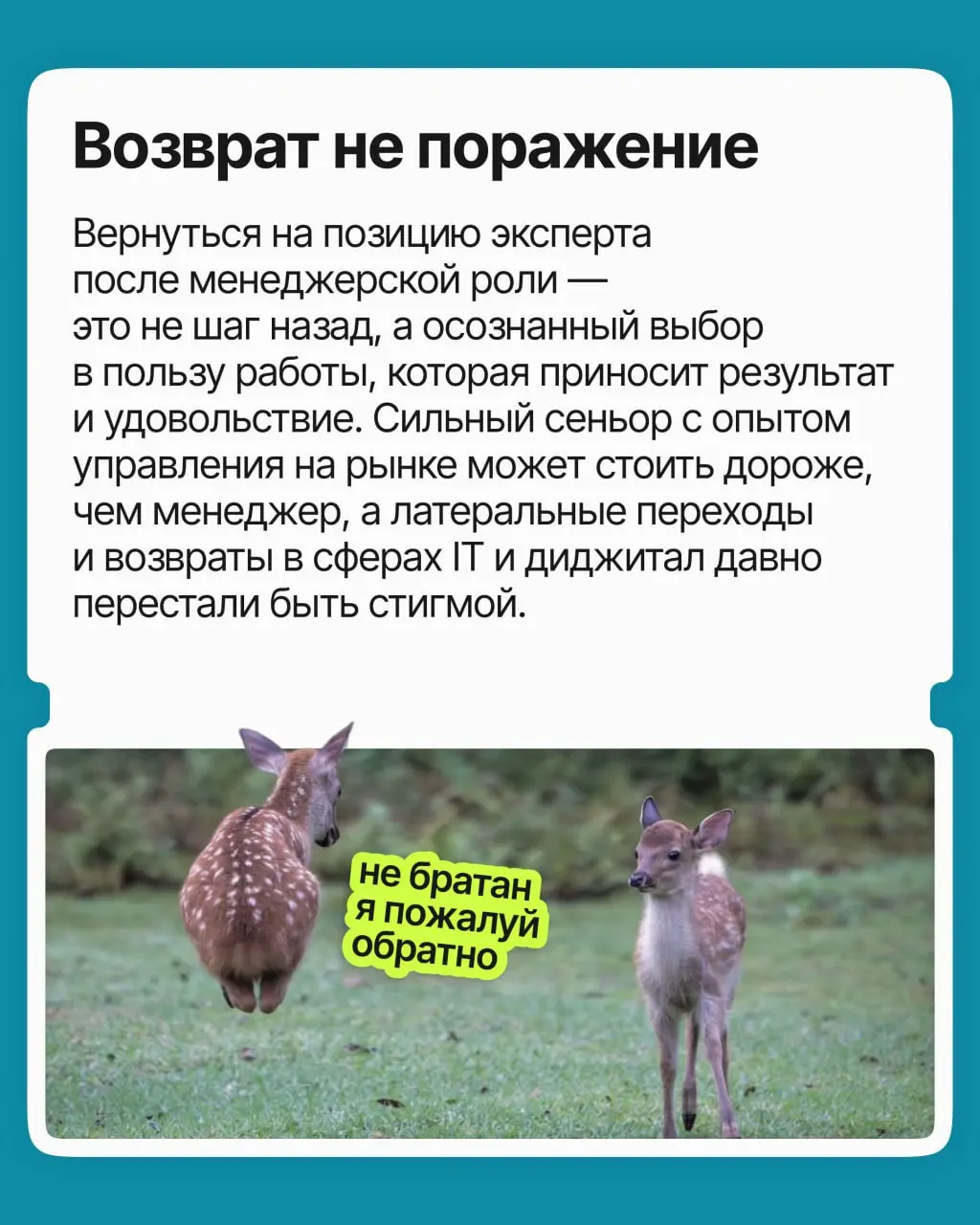 Меня повысили, но стало хуже. Как быть? | Сетка — социальная сеть от hh.ru