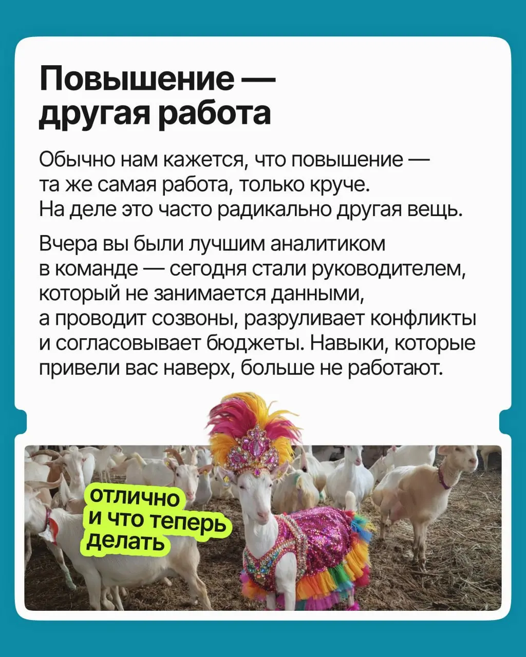 Меня повысили, но стало хуже. Как быть? | Сетка — социальная сеть от hh.ru
