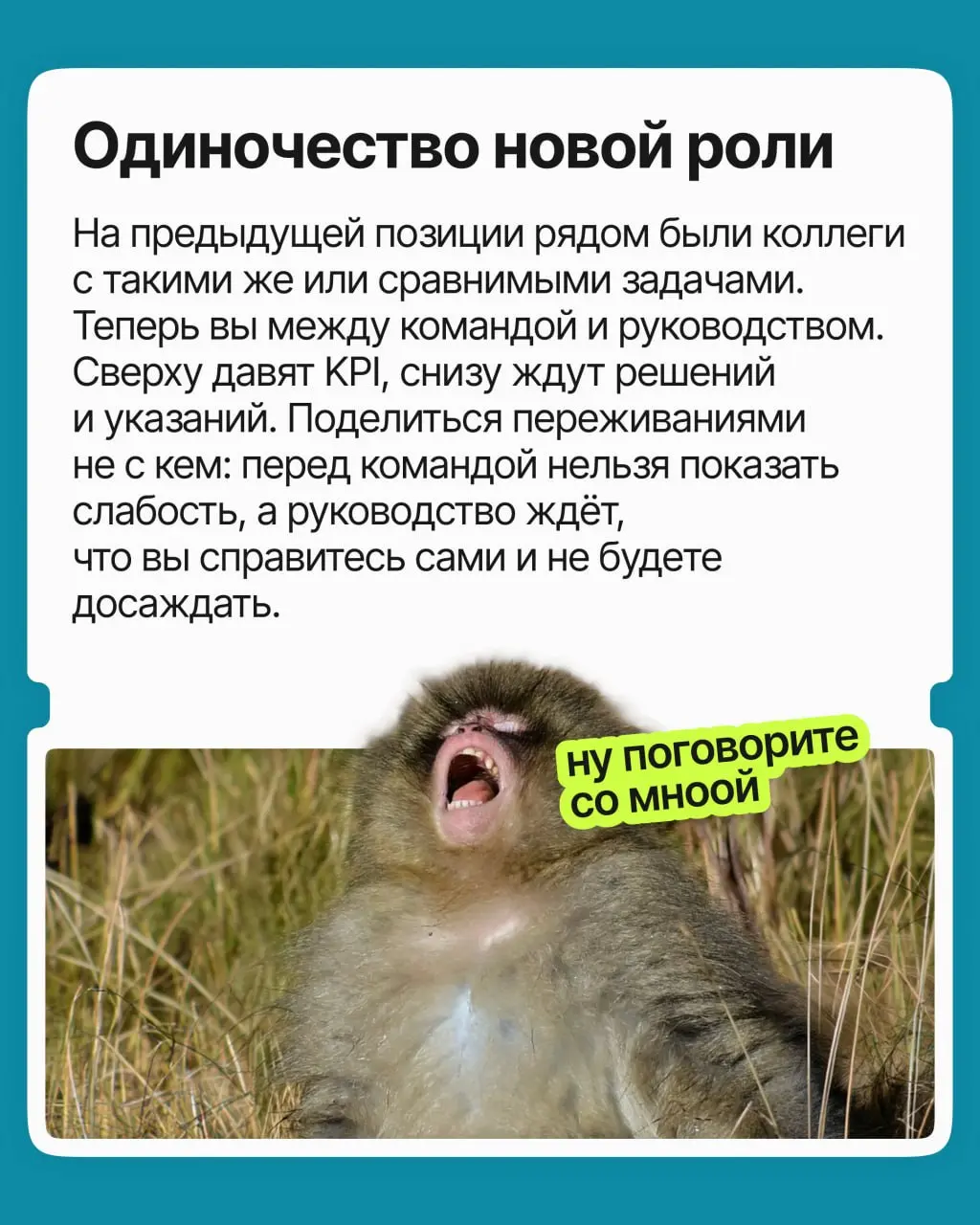 Меня повысили, но стало хуже. Как быть? | Сетка — социальная сеть от hh.ru