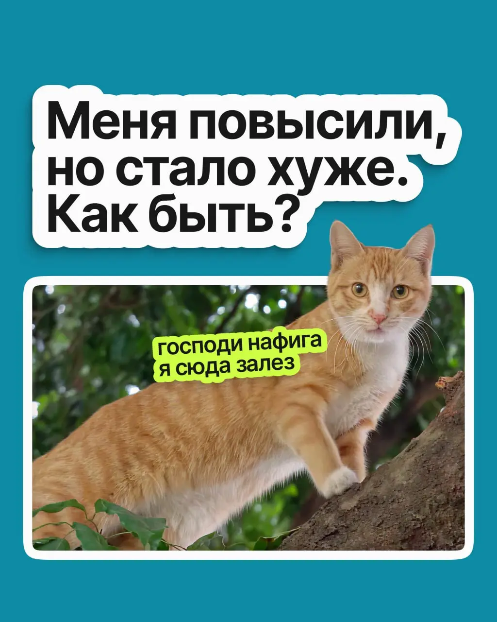 Меня повысили, но стало хуже. Как быть? | Сетка — социальная сеть от hh.ru