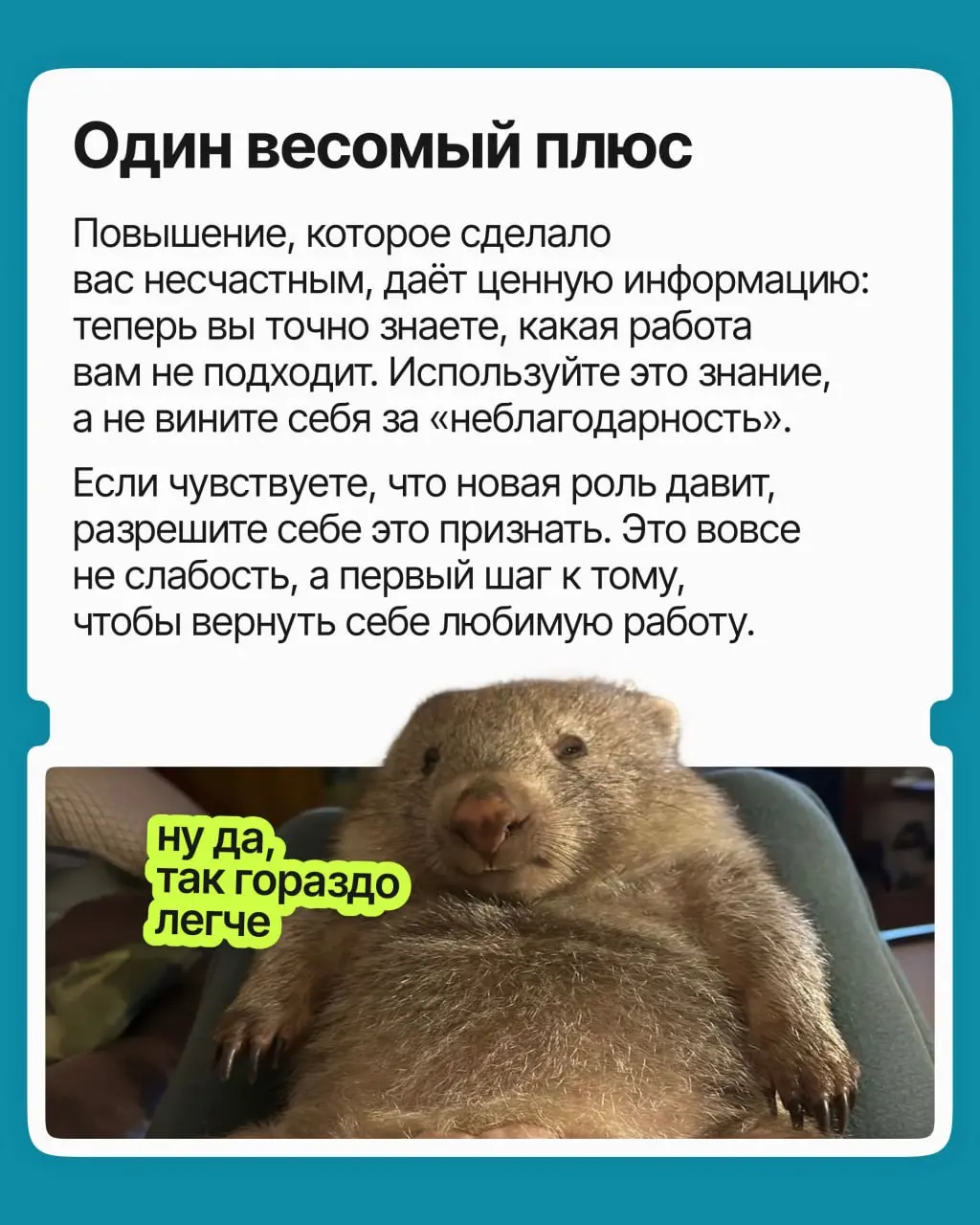 Меня повысили, но стало хуже. Как быть? | Сетка — социальная сеть от hh.ru