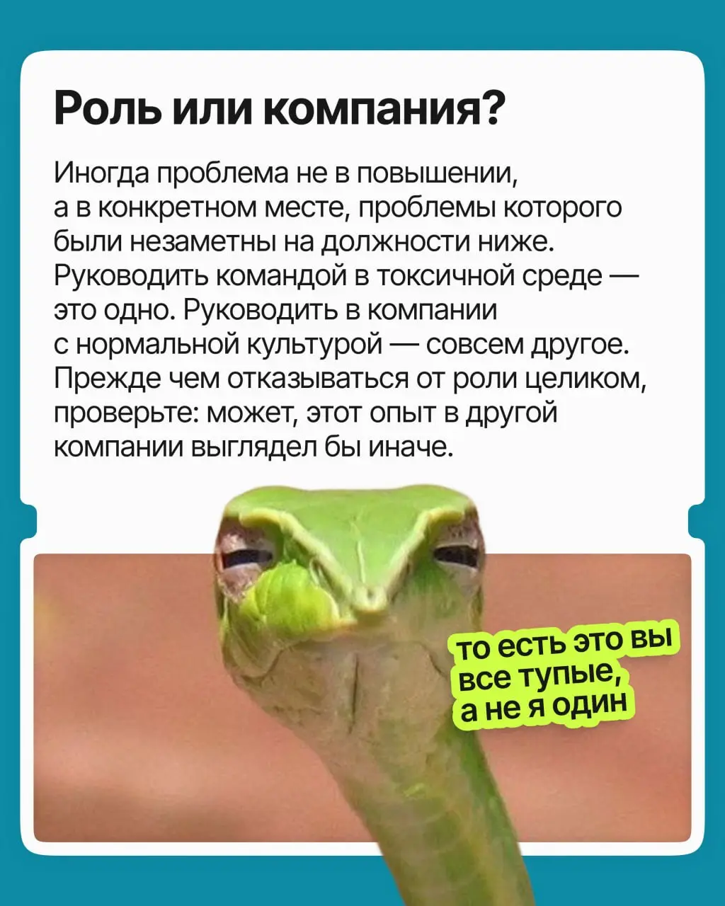 Меня повысили, но стало хуже. Как быть? | Сетка — социальная сеть от hh.ru