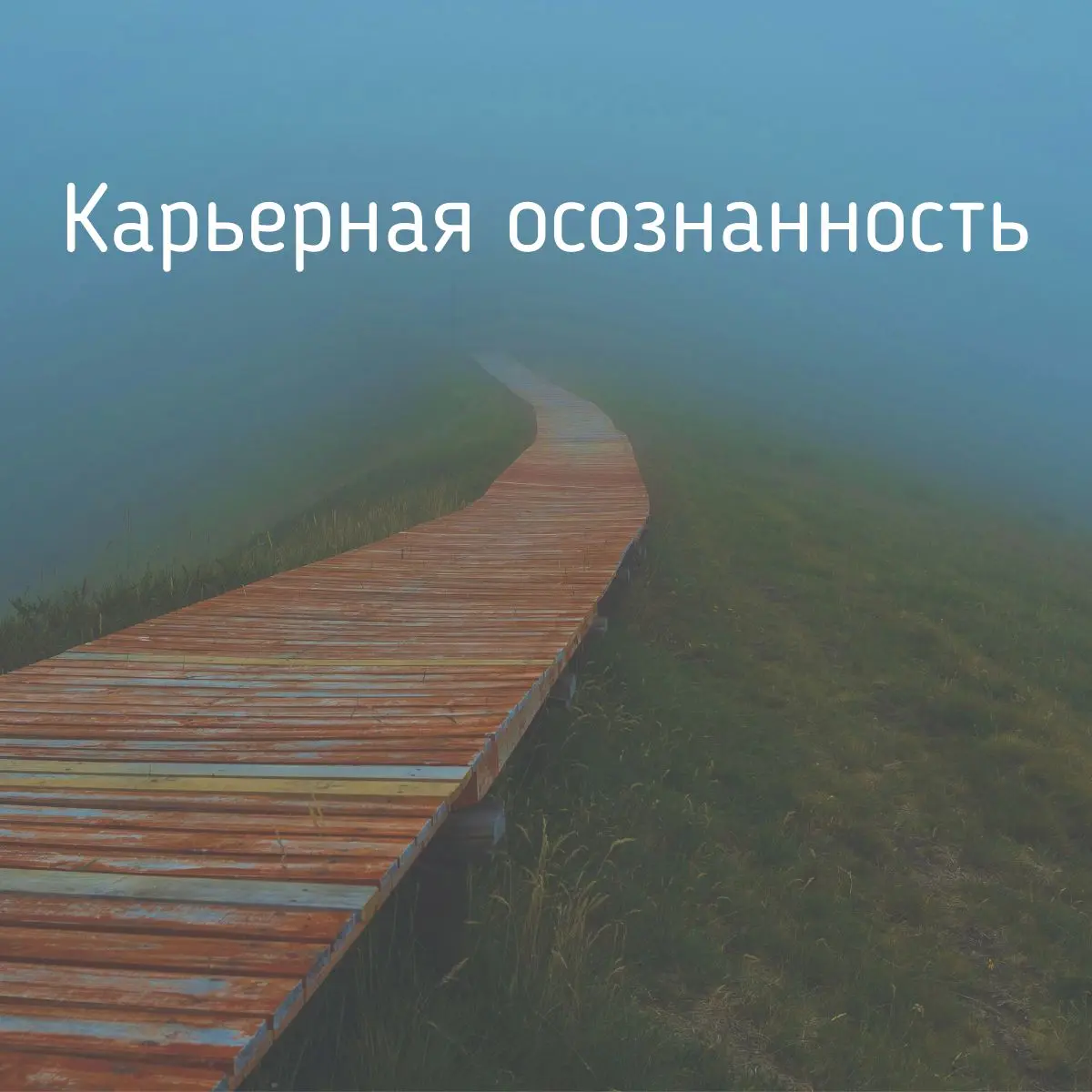 Слово «осознанность» давно надоело? превратилось в банальность, но в карьере оно все равно описывает одно и то же: вы понимаете, что делаете и зачем | Сетка — социальная сеть от hh.ru