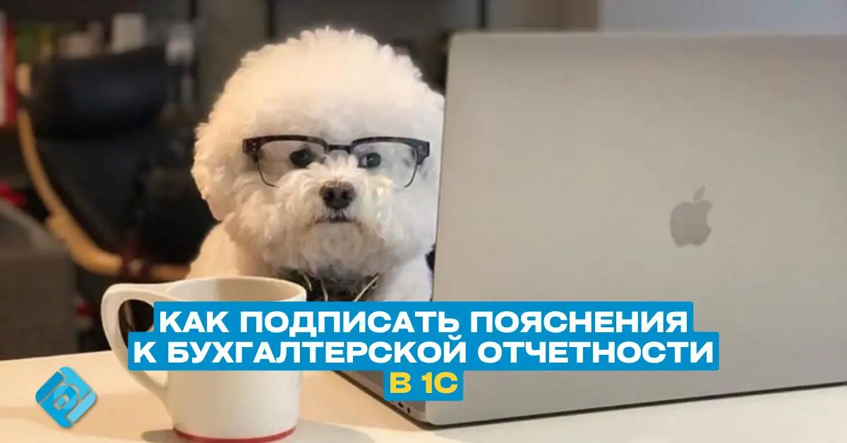 📊 Как подписать пояснения к бухгалтерской отчетности в 1С
При сдаче отчетности за 2025 год есть 2 допустимых способа, выбирайте любой удобный:
📌 Вариант 1 — через бумагу
— распечатать пояснения из 1С
... | Сетка — социальная сеть от hh.ru