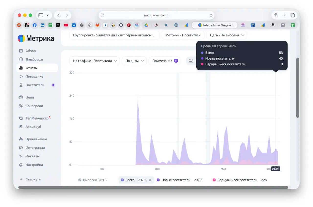 Трафик на проект telega.fm с момента запуска. Органика. Мы как работаем - делаем, сразу в прод, ловим баги, правим, сразу в прод и т.п. Т.к. тестировщика нет, тестируем сами или люди пишут | Сетка — социальная сеть от hh.ru