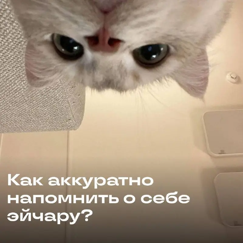📩 Вредные советы: как напомнить работодателю о своем отклике
Хотите, чтобы вас точно запомнили? Следуйте инструкции:
🔹 Пишите каждые 3 часа: в почту, личку, Telegram и бывшему одногруппнику рекрутера | Сетка — социальная сеть от hh.ru