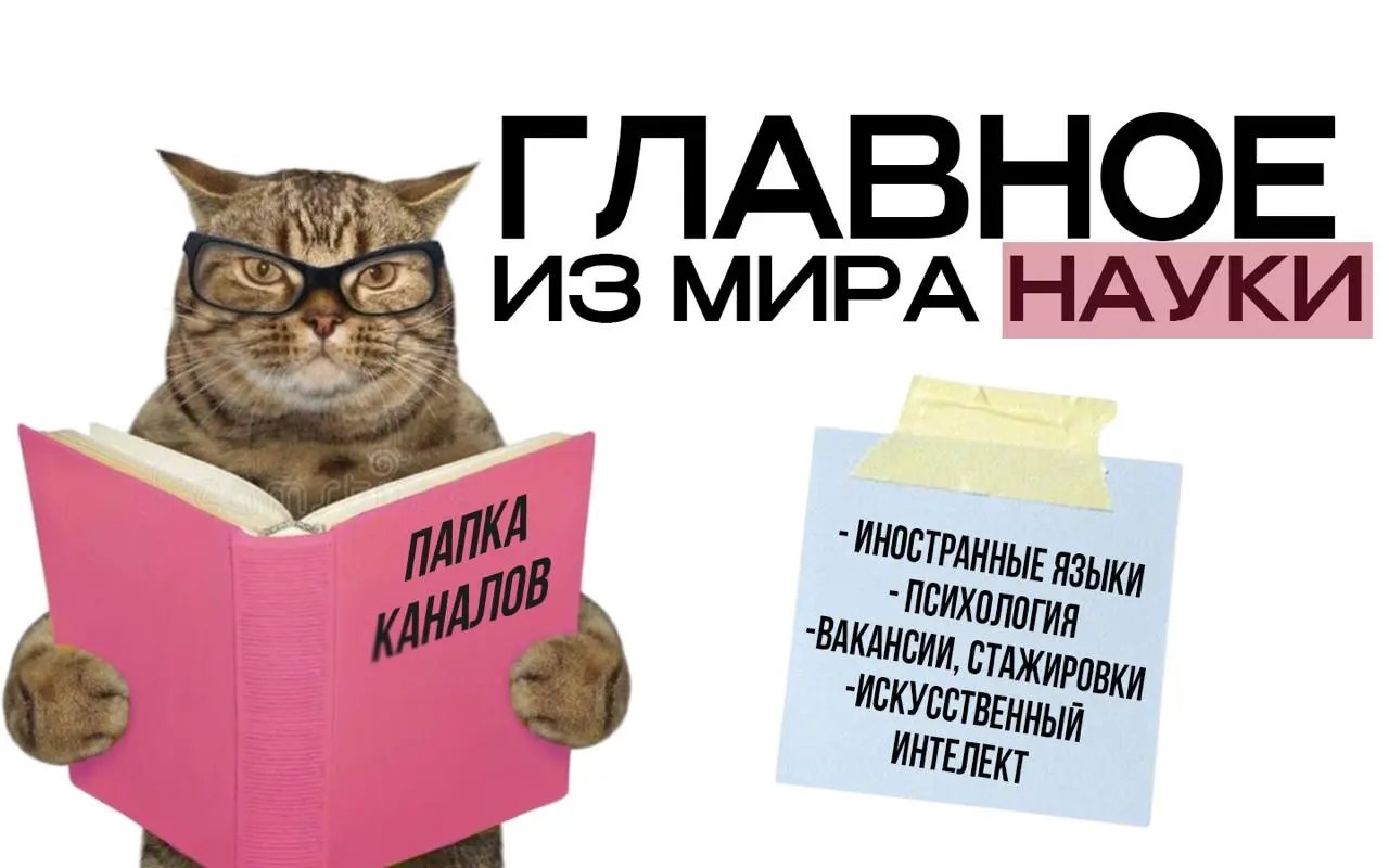 Наш канал периодически участвует в тематических подборках экспертных тг-каналов.
В телеграмм нет рекомендаций, поэтому, зачастую про некоторые, вполне содержательные каналы многие и не знают | Сетка — социальная сеть от hh.ru