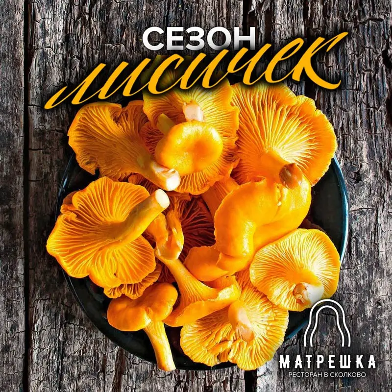 Первая буква "Л", а поручику — молчать | Сетка — социальная сеть от hh.ru