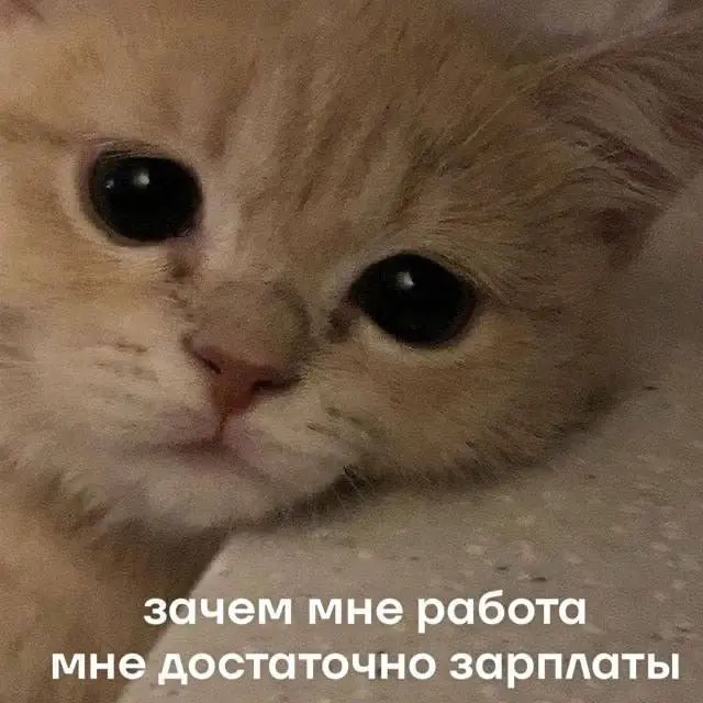 Рил? | Сетка — социальная сеть от hh.ru