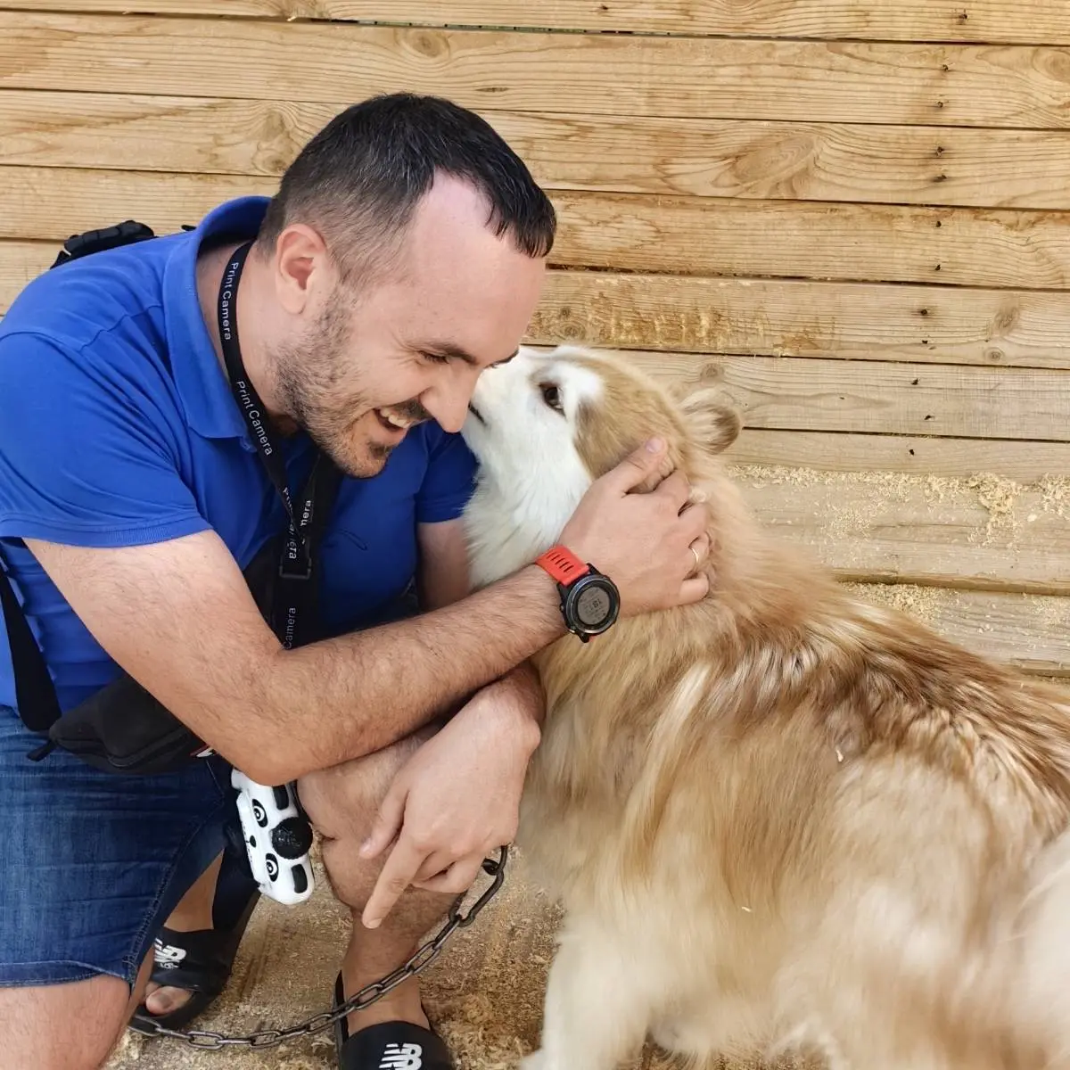 Network member avatar