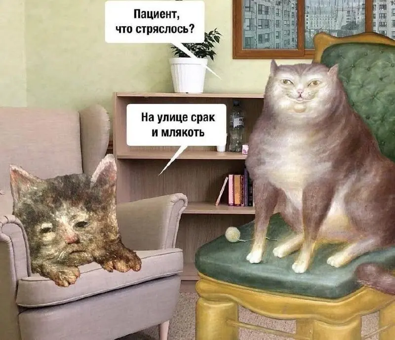 Холодает | Сетка — социальная сеть от hh.ru