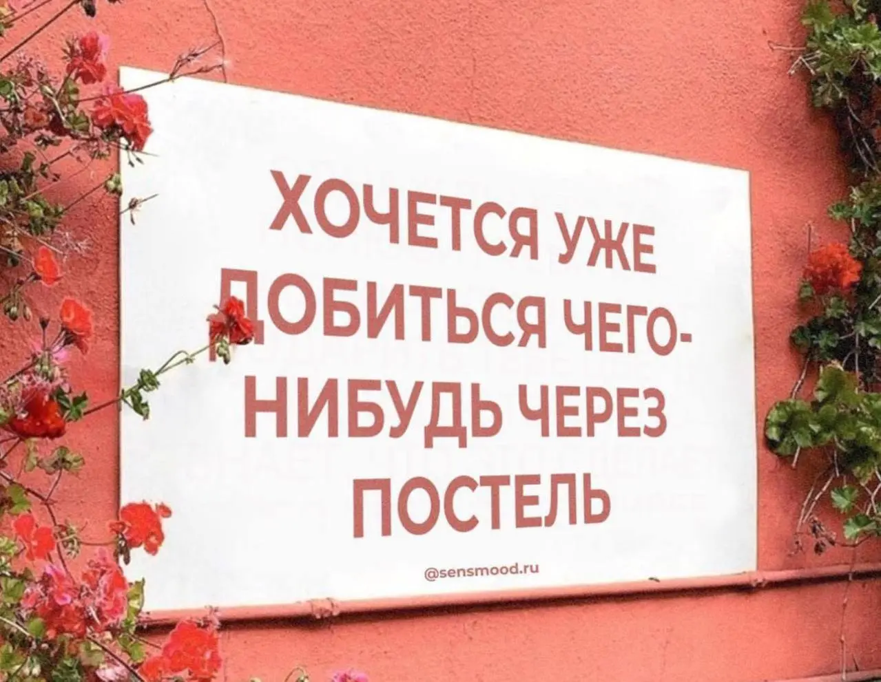 Коллеги, ну хочется же, правда? А то всё сама, сама. | Сетка — социальная сеть от hh.ru